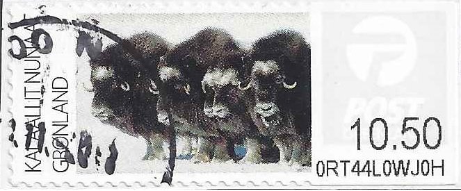 Stamp, Muskox - Moschusochse (Ovibos moschatus), Greenland,  , Animals (Fauna), Bulls and Cows, Mammals