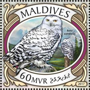 Stamp, Bubo scandiacus, Maldives,  