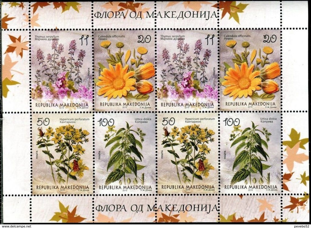 Local Flora
