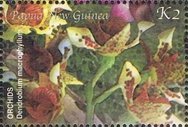 Stamp, Dendrobium macrophyllum, Papua New Guinea,  , Flowers, Orchids, Plants (Flora)