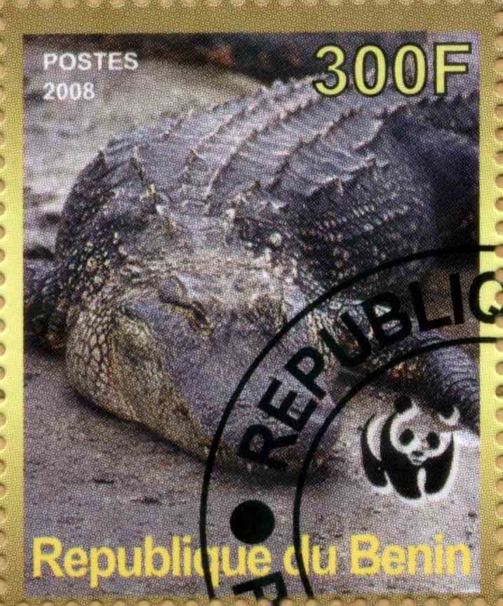 Crocodiles