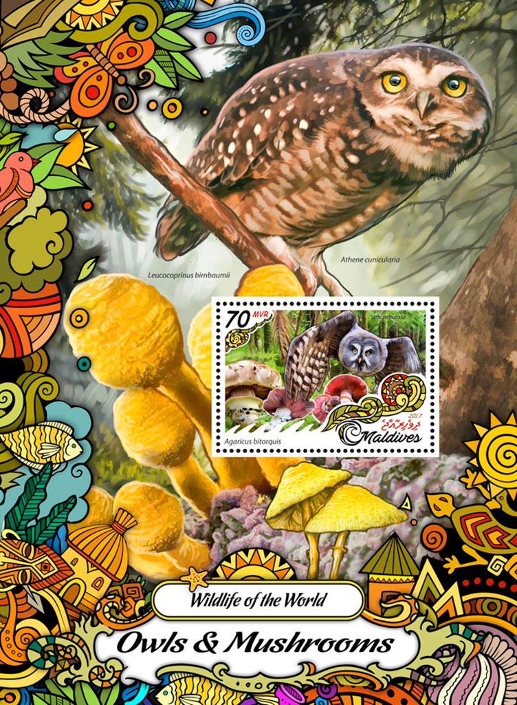 Wildlife of the World: Owls & Mushrooms
