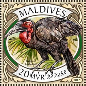 Stamp, Bucorvus leadbeateri, Maldives,  