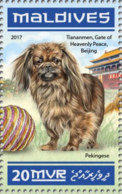 Pekingese - Tiananmen, Gate of Heavenly Peace, Beijing