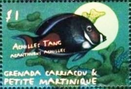 Achilles tang