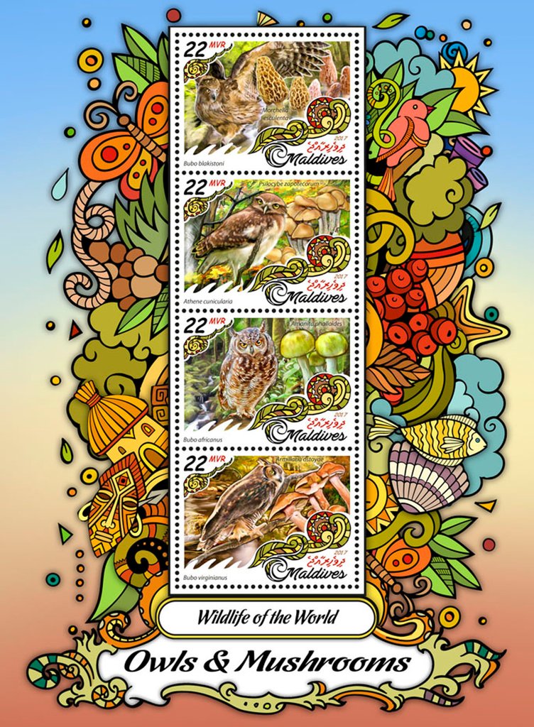 Wildlife of the World: Owls & Mushrooms