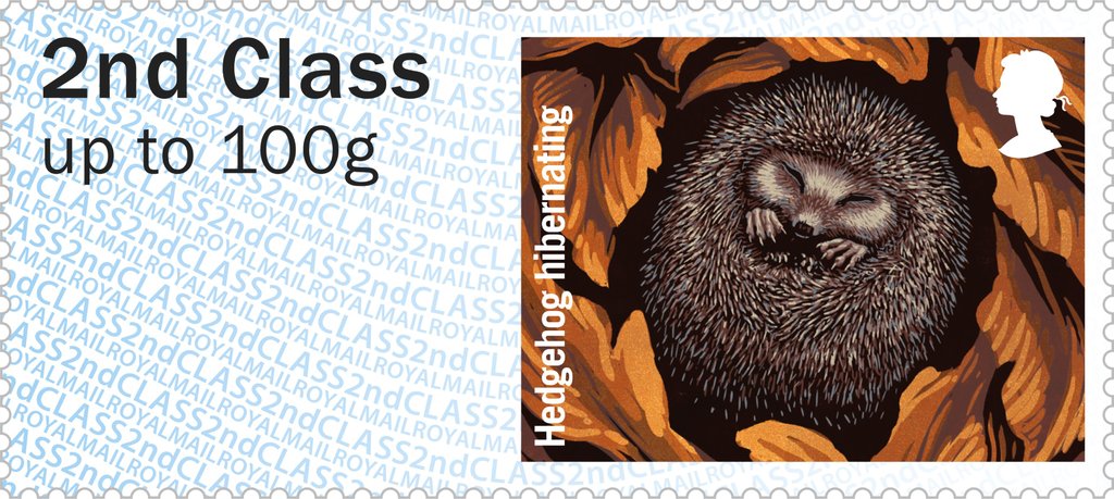 European Hedgehog (Erinaceus europaeus)