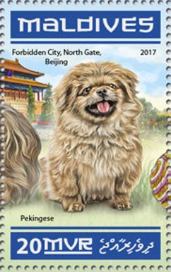 Pekingese - Forbidden City, North Gate, Beijing