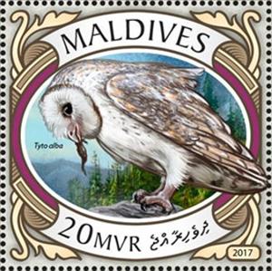 Stamp, Tyto alba, Maldives,  
