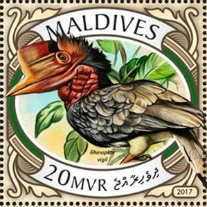 Stamp, Rhinoplax vigil, Maldives,  