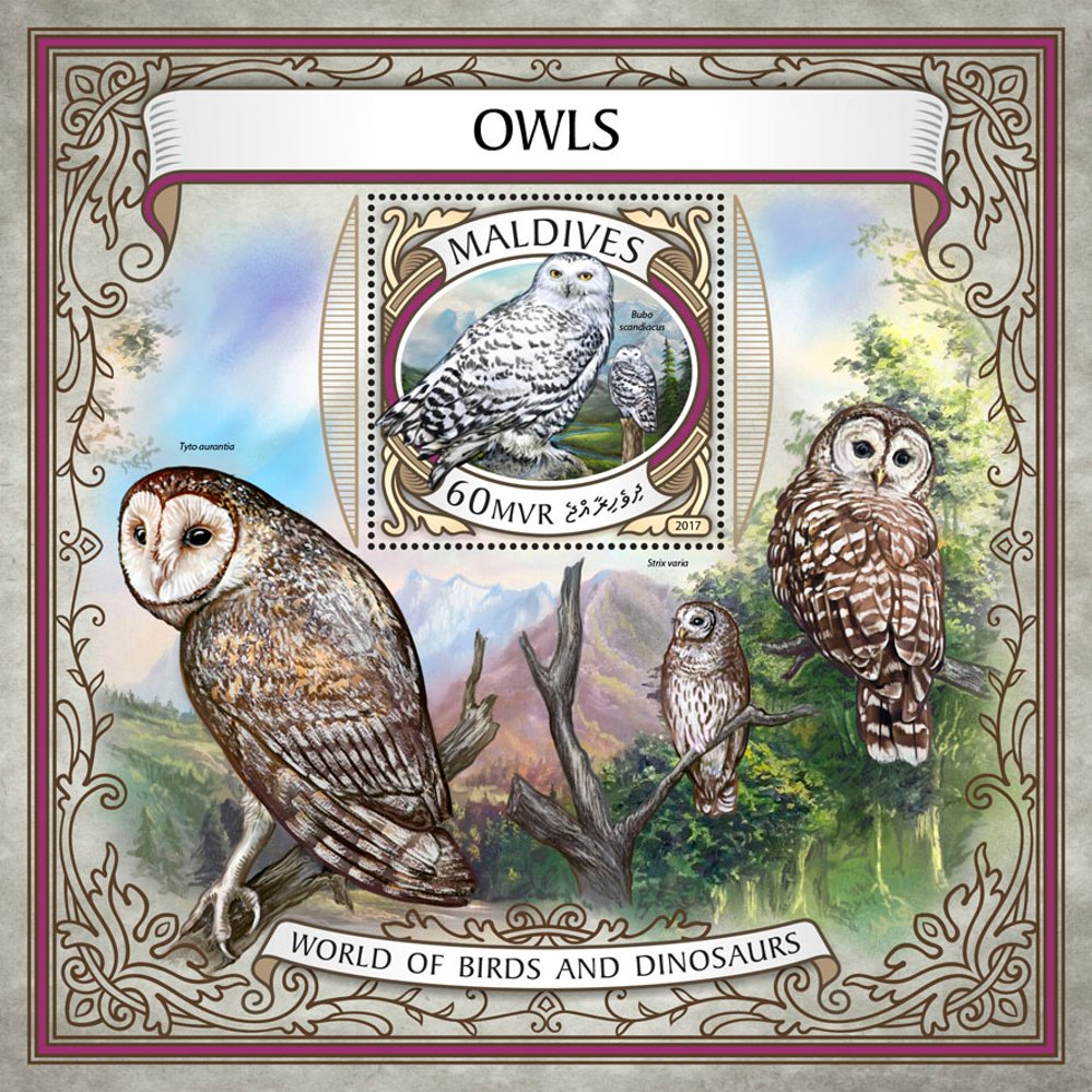Owls