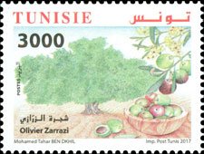 The Olive Tree Zarrazi