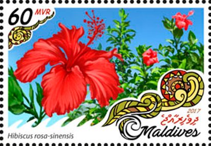 Stamp, Hibiscus rosa-sinensis, Maldives,  