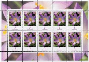 Mini Sheet, Krokus (Elves Crocus), Germany, Federal Republic,  , Flowers, Plants (Flora)