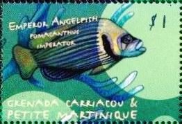 Emperor angelfish