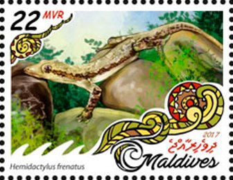 Hemidactylus frenatus
