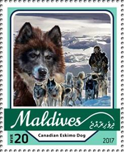 Stamp, Canadian Eskimo Dog, Maldives,  , Dogs