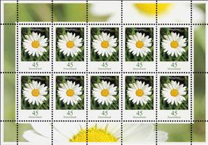 Mini Sheet, Margerite Daisy, Germany, Federal Republic,  , Flowers, Plants (Flora)