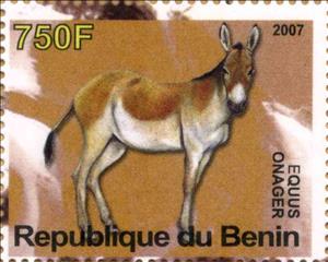 Stamp, Equus Onager, Cinderellas,  , Animals (Fauna), Horses