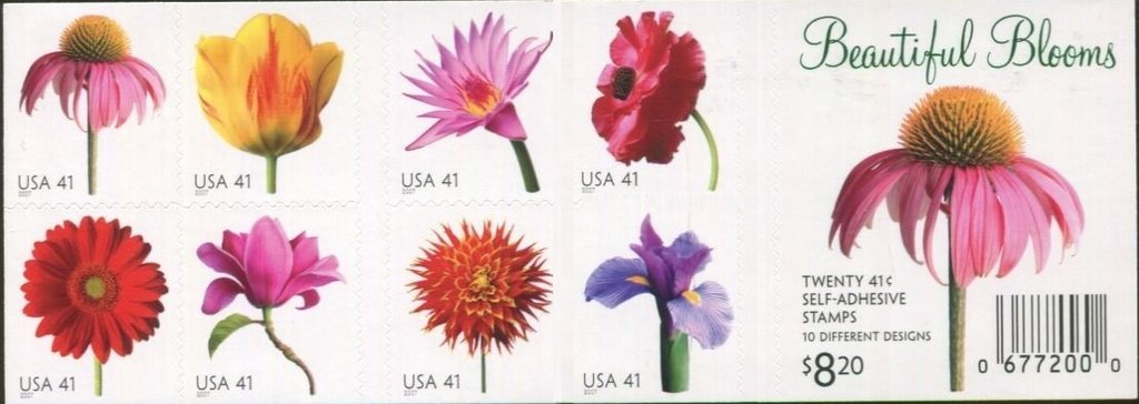 Beautiful Blooms