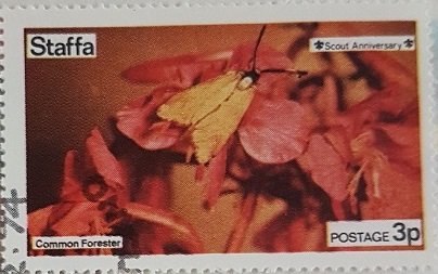 Common Forester