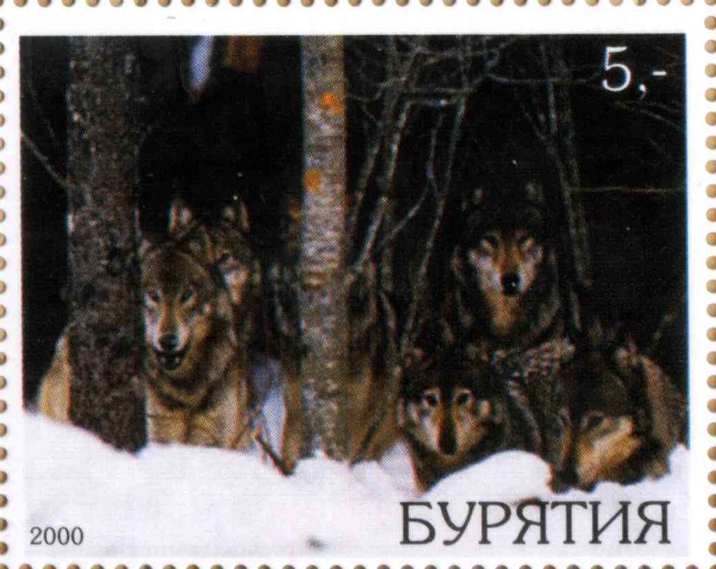 Wolves