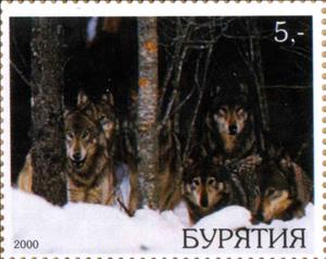 Stamp, Wolves, Cinderellas,  , Animals (Fauna), Wolves