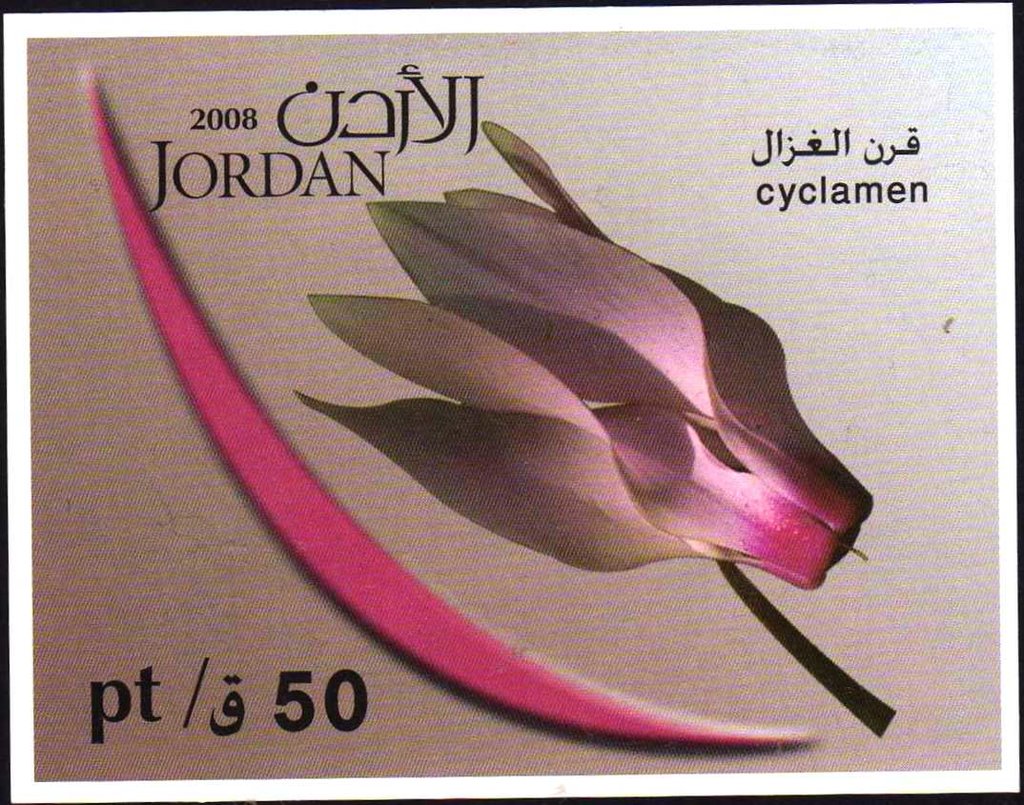Cyclamen
