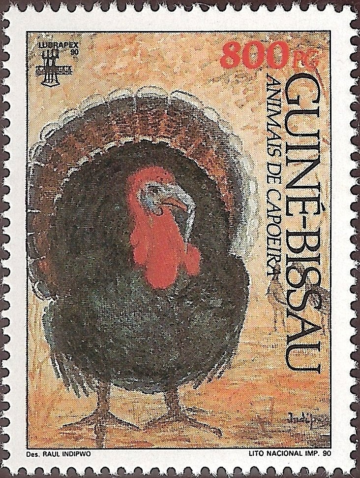 Domesticated Turkey (Meleagris gallopavo)