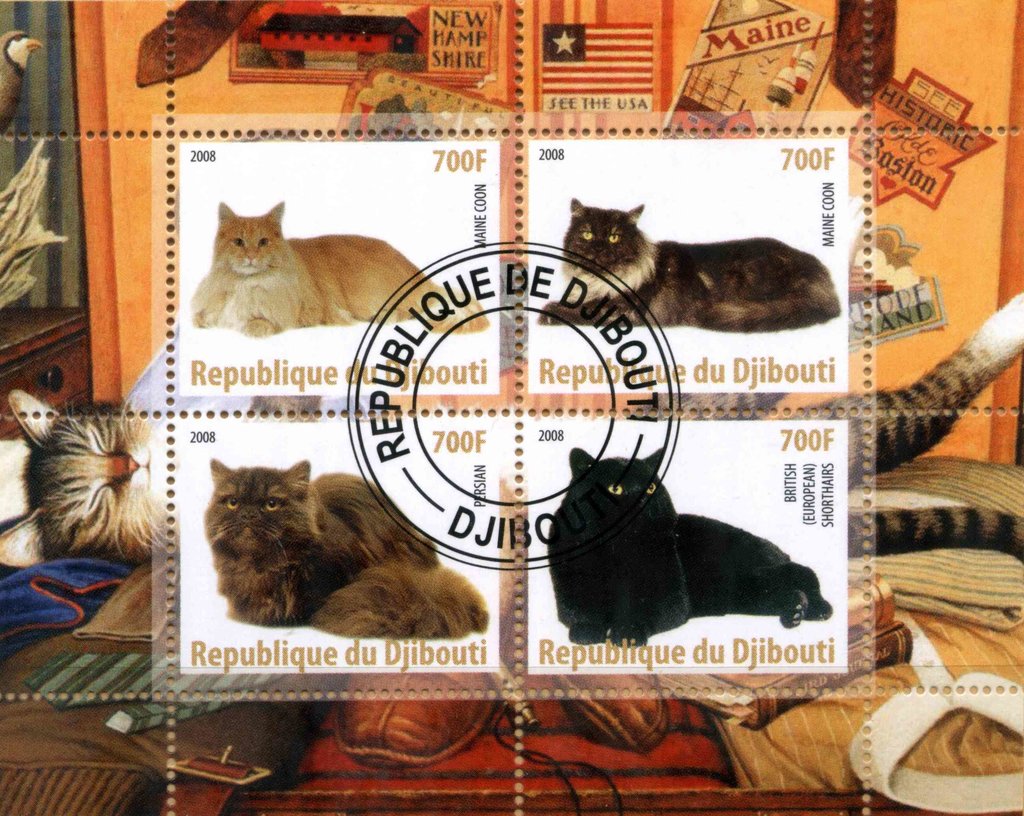 Cats