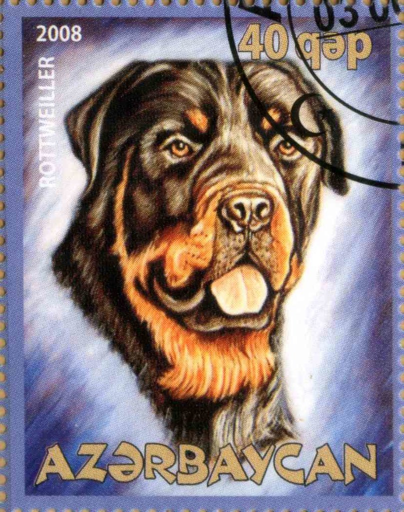 Rottweiller
