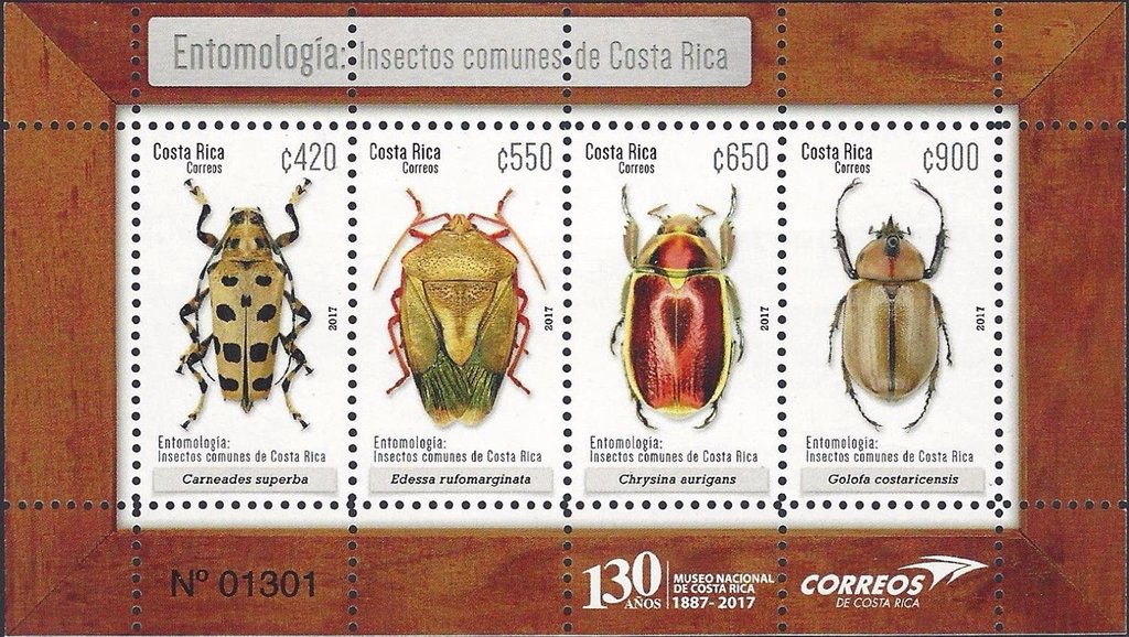 Beetles