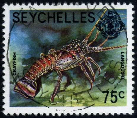 Crayfish