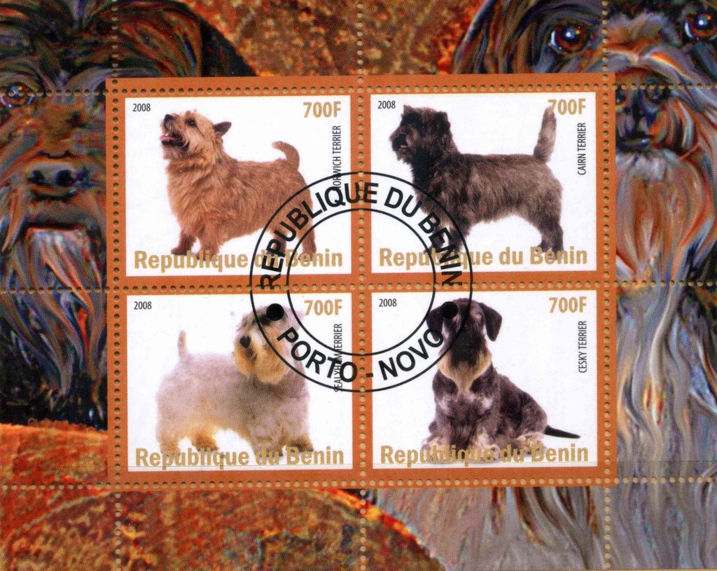 Dogs