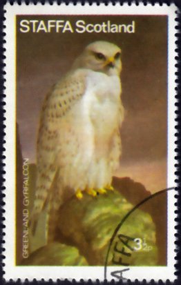 Stamp, Birds of Prey - Greenland Gryfalcon, Cinderellas,  , Birds, Birds of Prey, Falcons