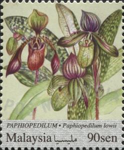Stamp, Paphiopedilum, Malaysia,  , Flowers, Orchids, Plants (Flora)