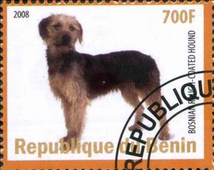 Stamp, Bosnian Rauga - Coated Hound, Cinderellas,  , Animals (Fauna), Dogs