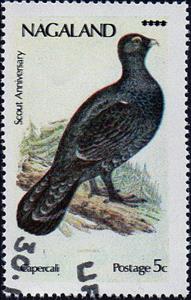Stamp, Western Capercaillie (Tetrao urogallus), Cinderellas,  , Birds