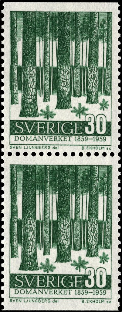 Forest trees