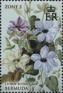 Stamp, Clematis sp., Bermuda,  , Plants (Flora)