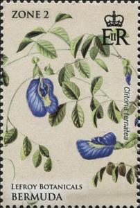 Stamp, Clitoria ternatea, Bermuda,  , Plants (Flora)