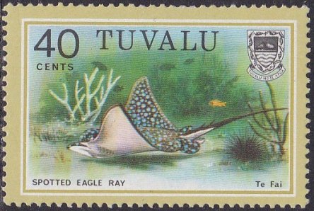 Spotted Eagle Ray