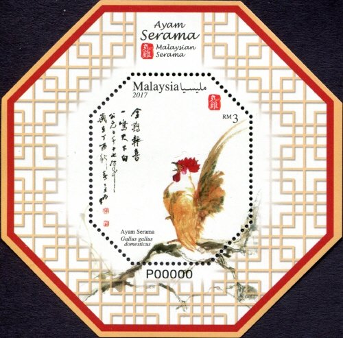 Ayam Serama