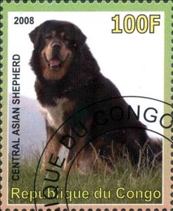 Stamp, Central Asian Shepherd, Cinderellas,  , Animals (Fauna), Dogs