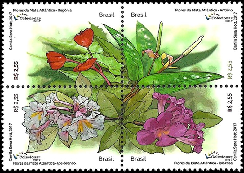 Flowers of the Atlantic Forest