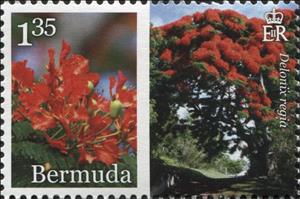 Stamp, Delonix regia, Bermuda,  , Plants (Flora)