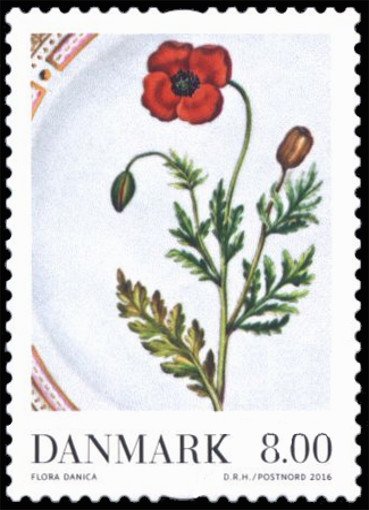 Porcelain plate - Flora Danica
