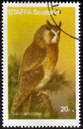 Stamp, Birds of Prey - Long-eared Owl, Cinderellas,  , Birds, Birds of Prey, Owls