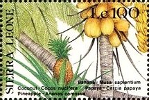 Stamp, Fruit (Musa acuminata, Cocos nucifera), Sierra Leone,  , Fruits, Nuts