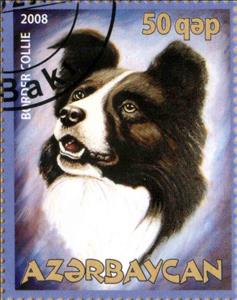 Stamp, Border Collie, Cinderellas,  , Animals (Fauna), Dogs